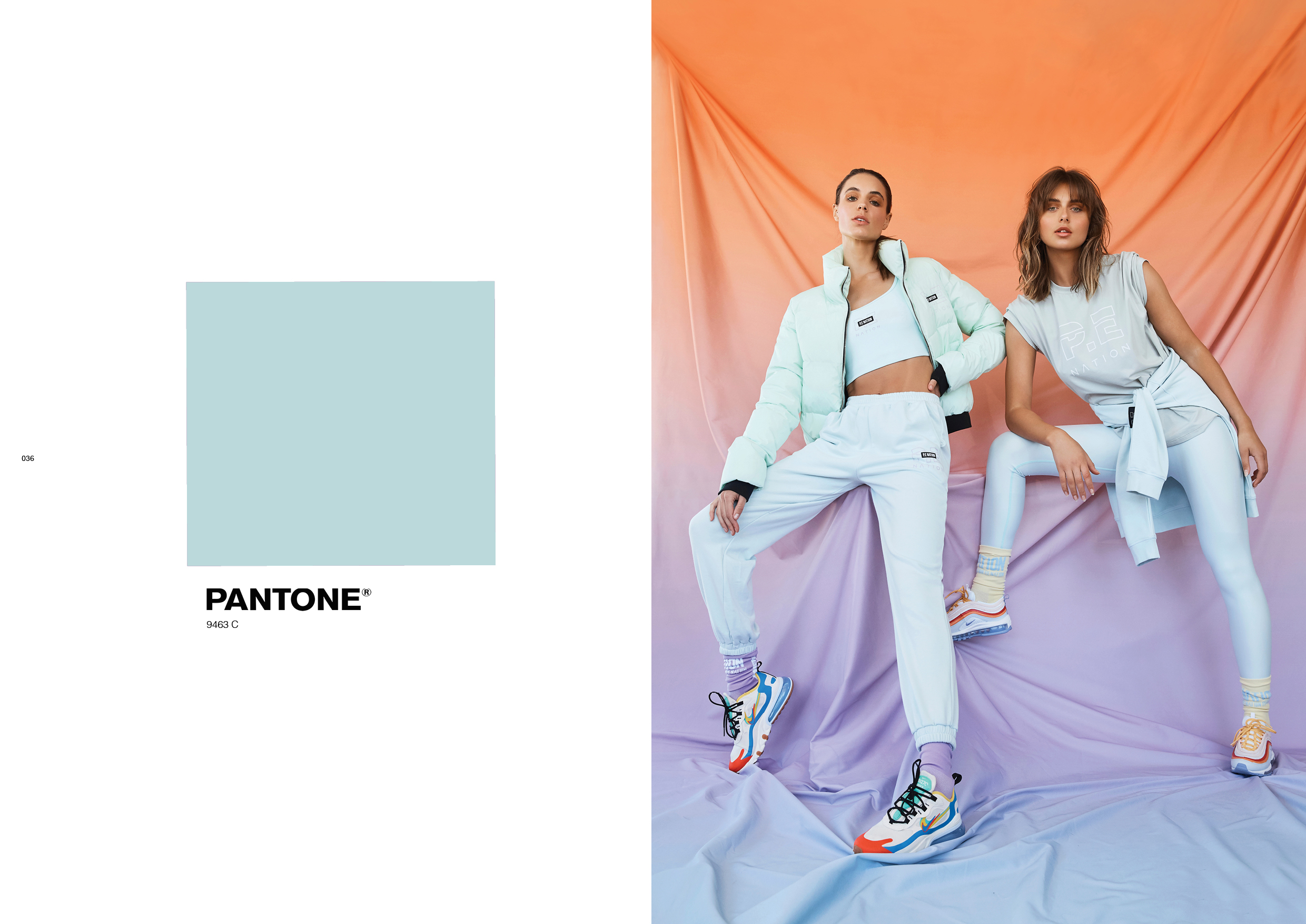 P.E Nation Baseline Collection