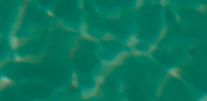 World Oceans Day 2021